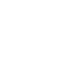 Youtbe icon